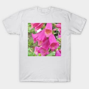 Common Foxglove T-Shirt